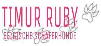 Timur Ruby Logo