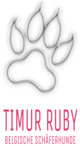 timur-ruby-logo